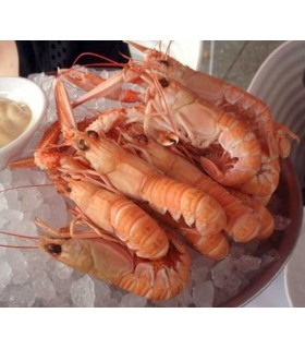 Buisson de langoustines 8 pièces