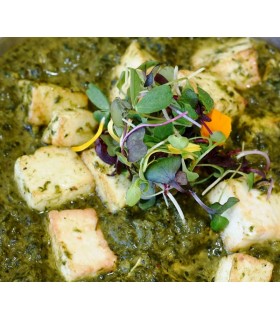 Palak Panir